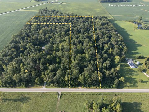 10-Acre Wooded Lot Near I-75