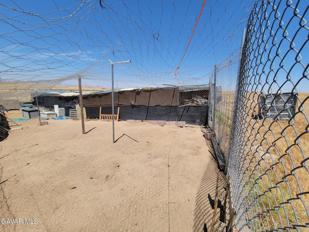 Picture 23