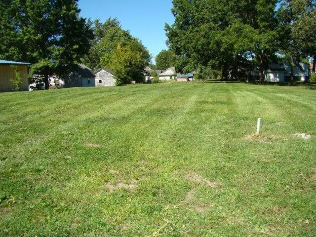 Picture 3