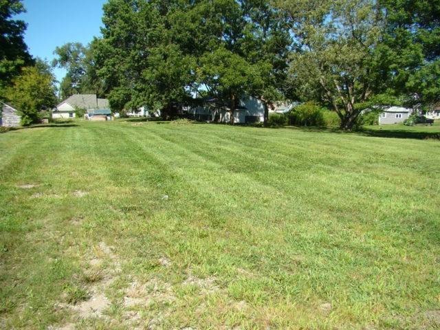 Picture 2