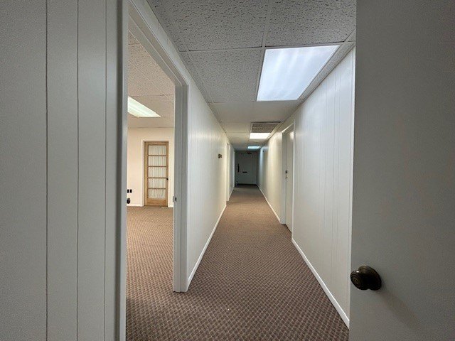 Picture 2