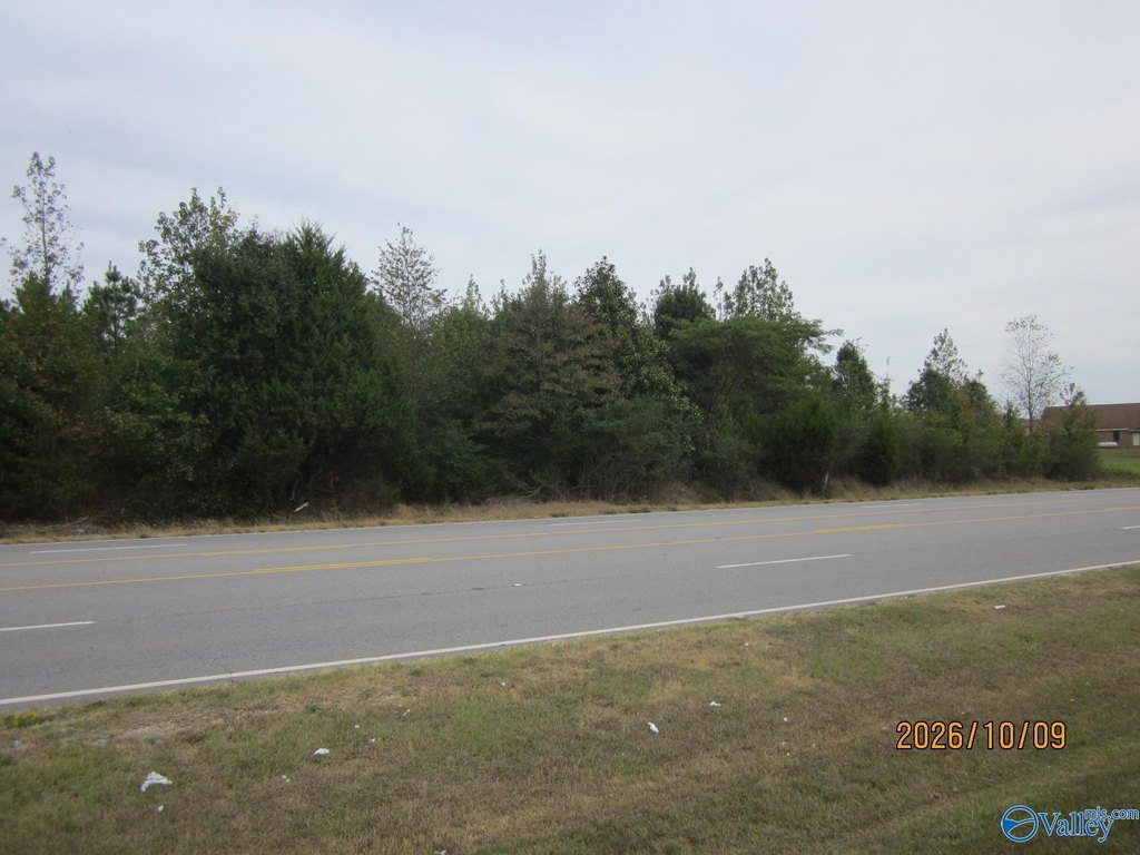 Picture 6