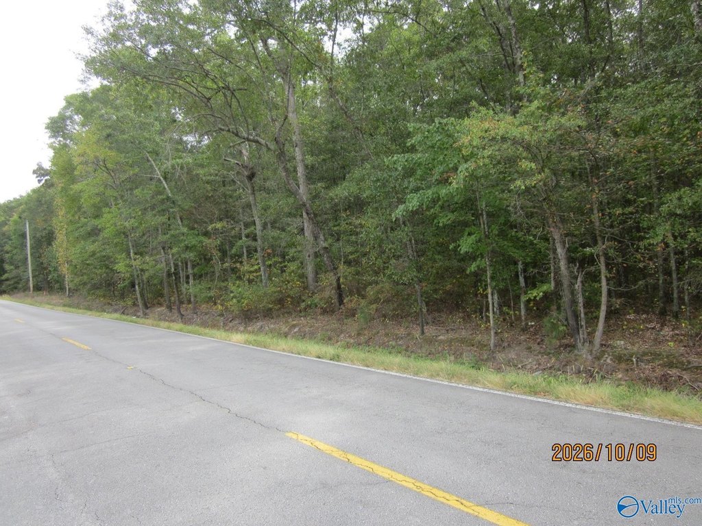 Picture 17