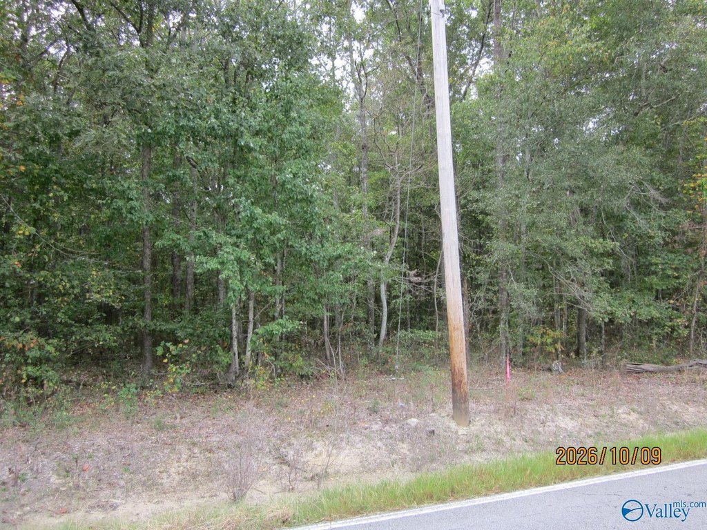 Picture 19