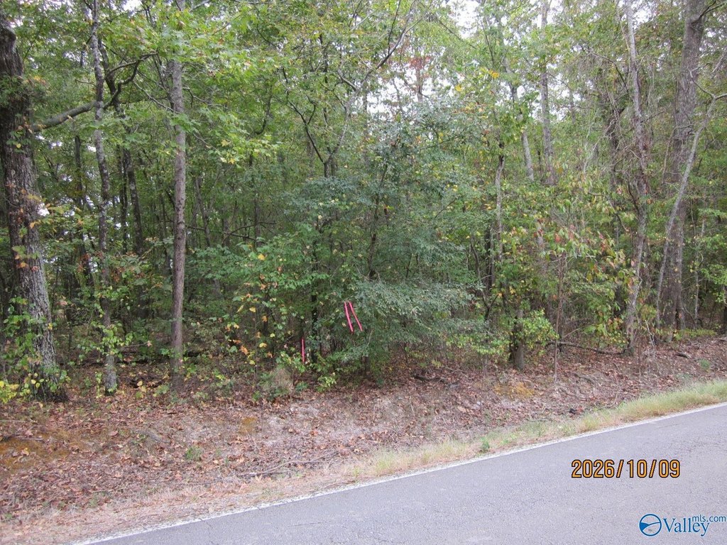 Picture 18