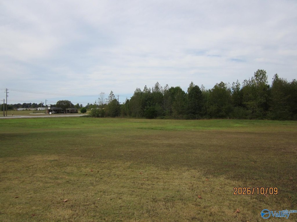 Picture 7
