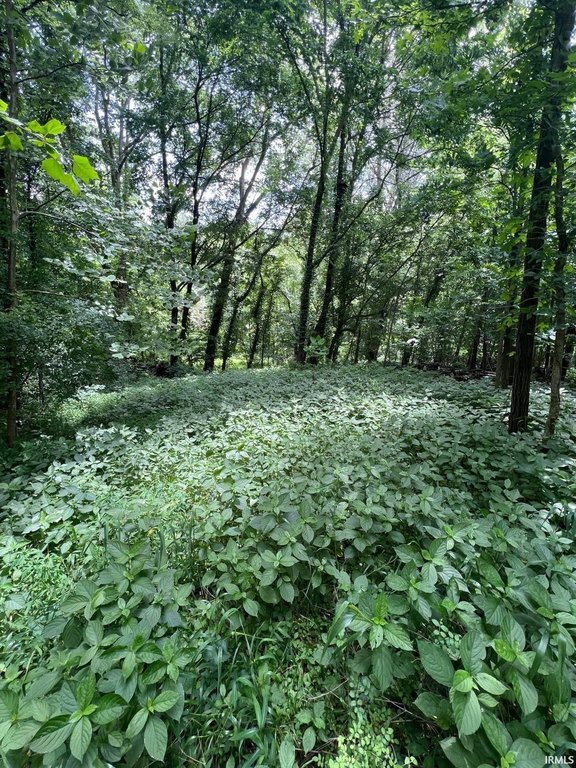 Picture 3