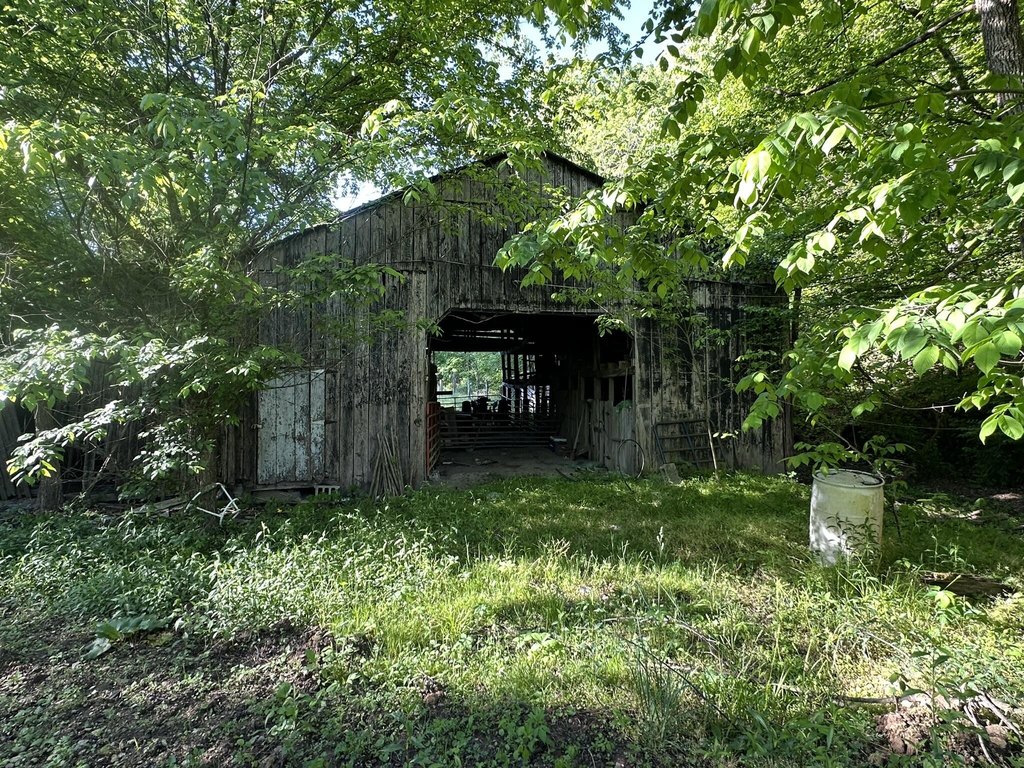 Picture 6