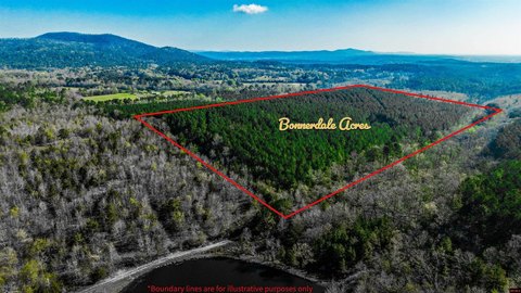 60 Acres Bonnerdale Hunting Land