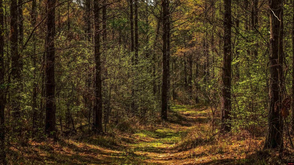 Picture 22