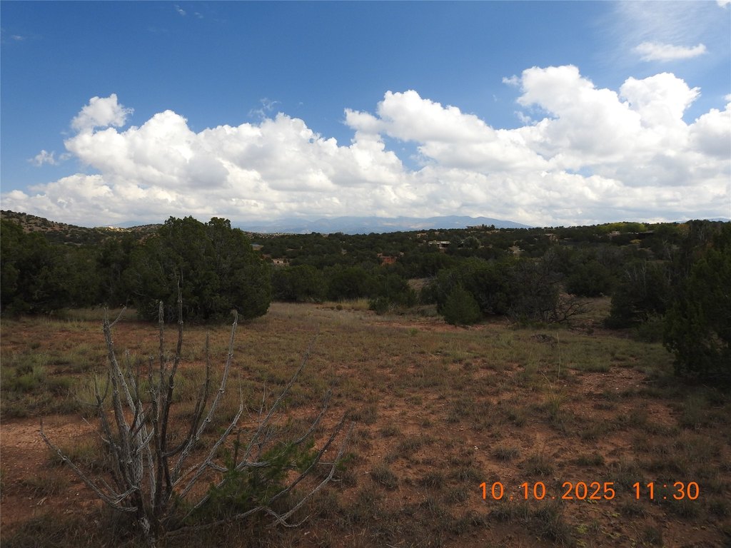 Picture 31