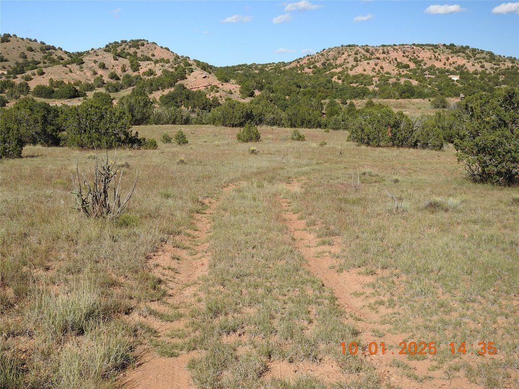 Picture 25