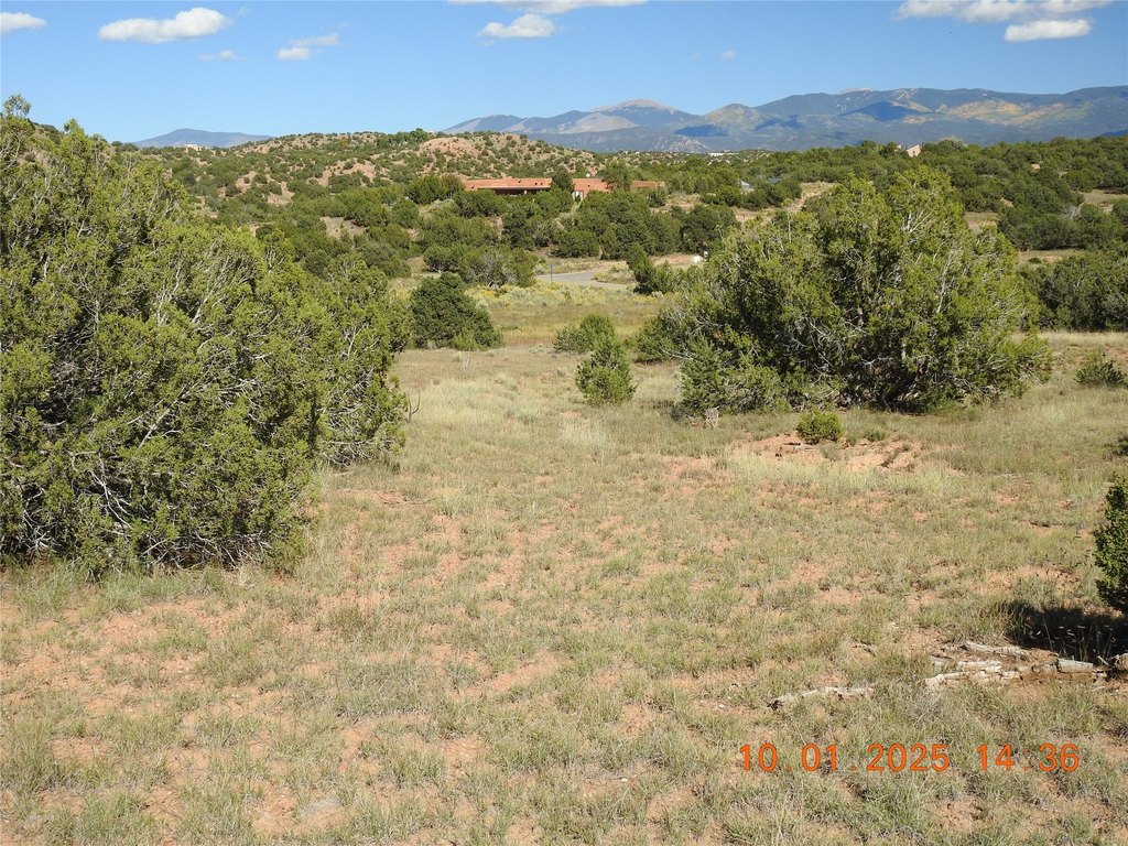 Picture 27
