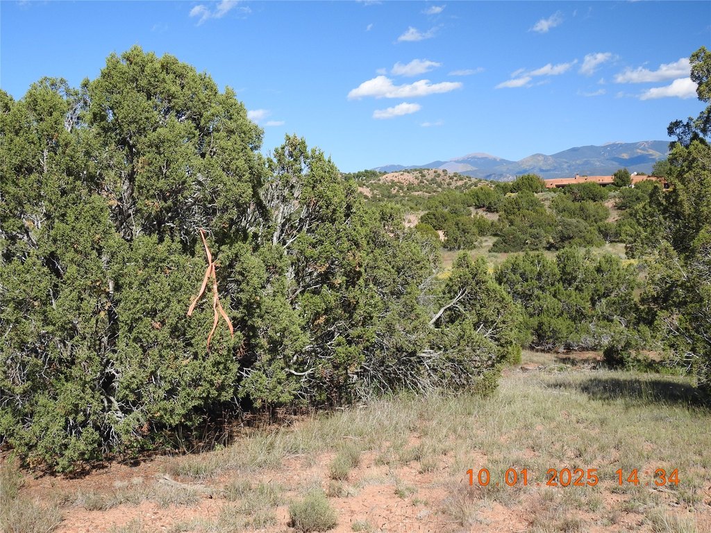 Picture 24