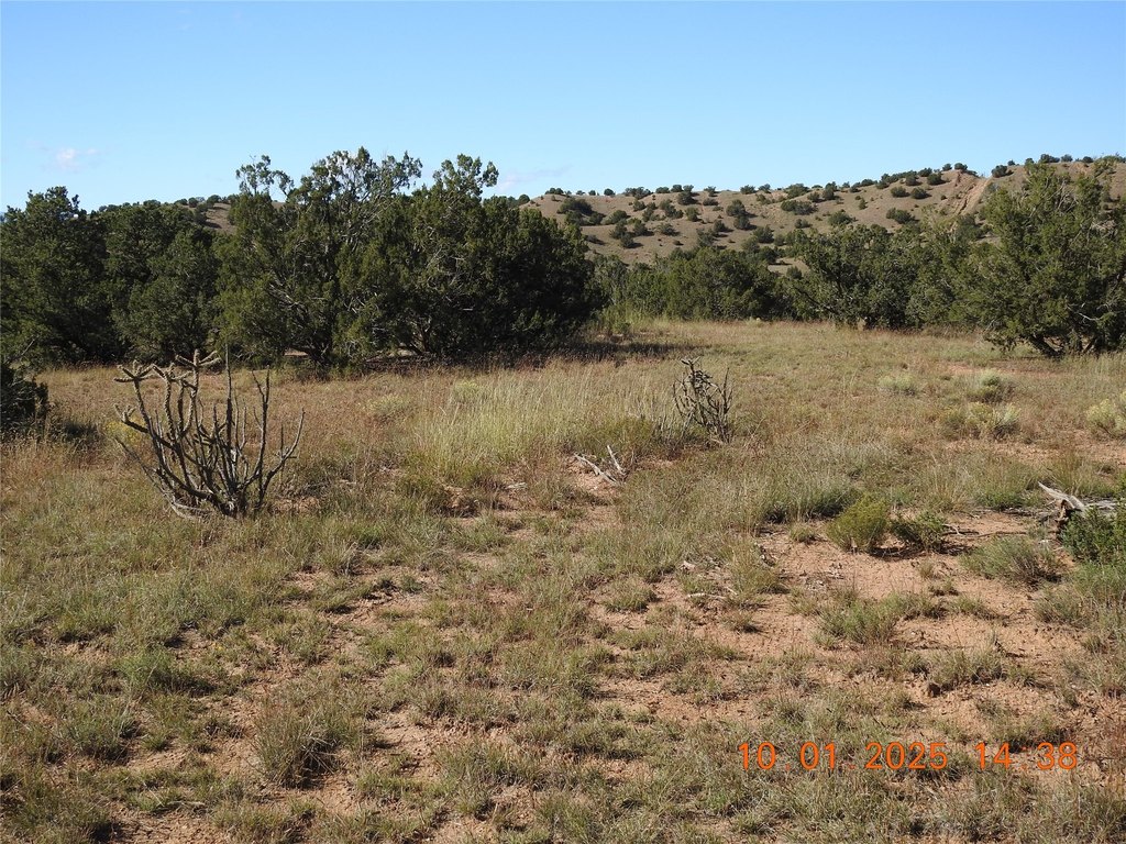 Picture 29