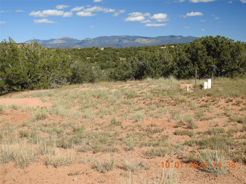 Picture 30