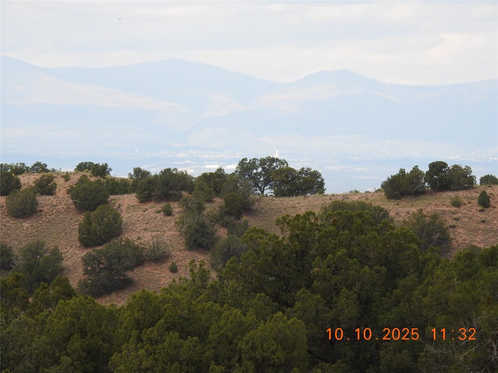 Picture 34