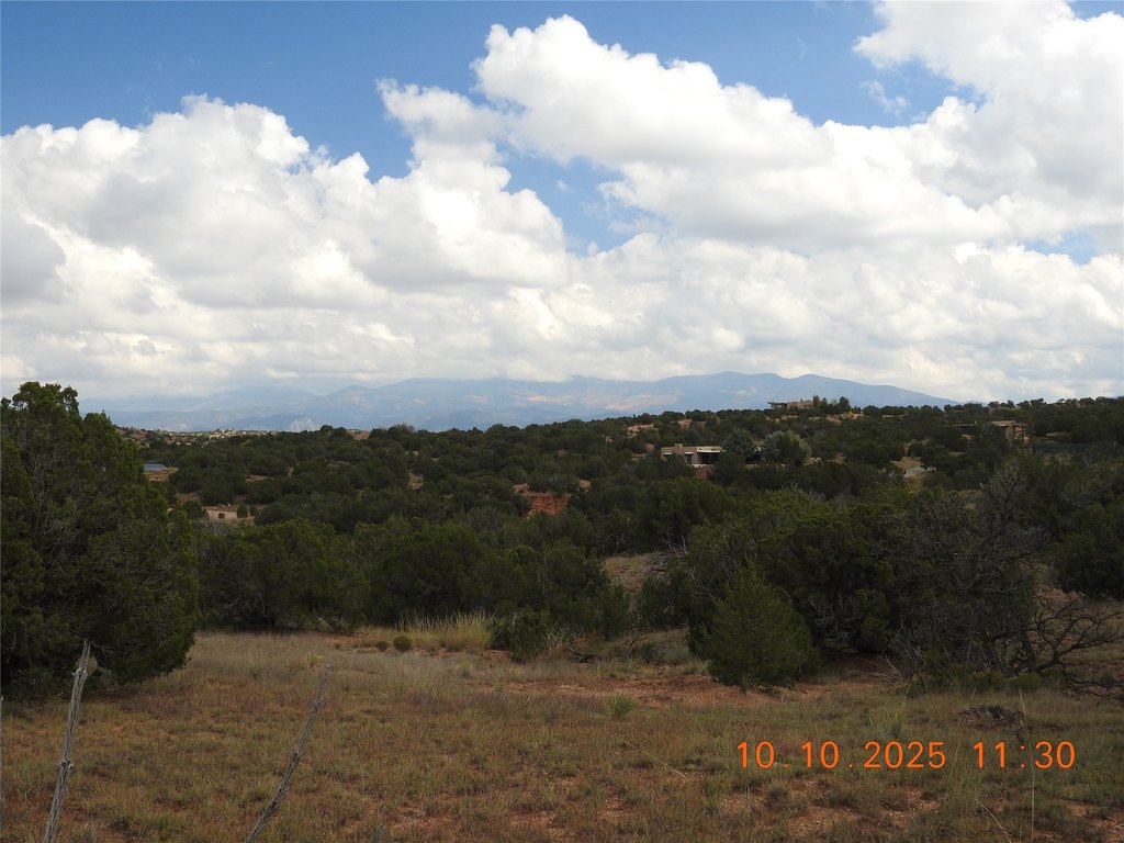 Picture 32