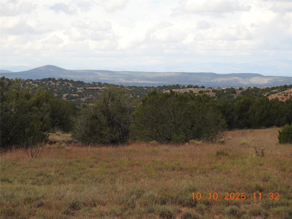 Picture 35