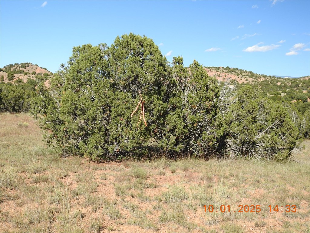 Picture 23