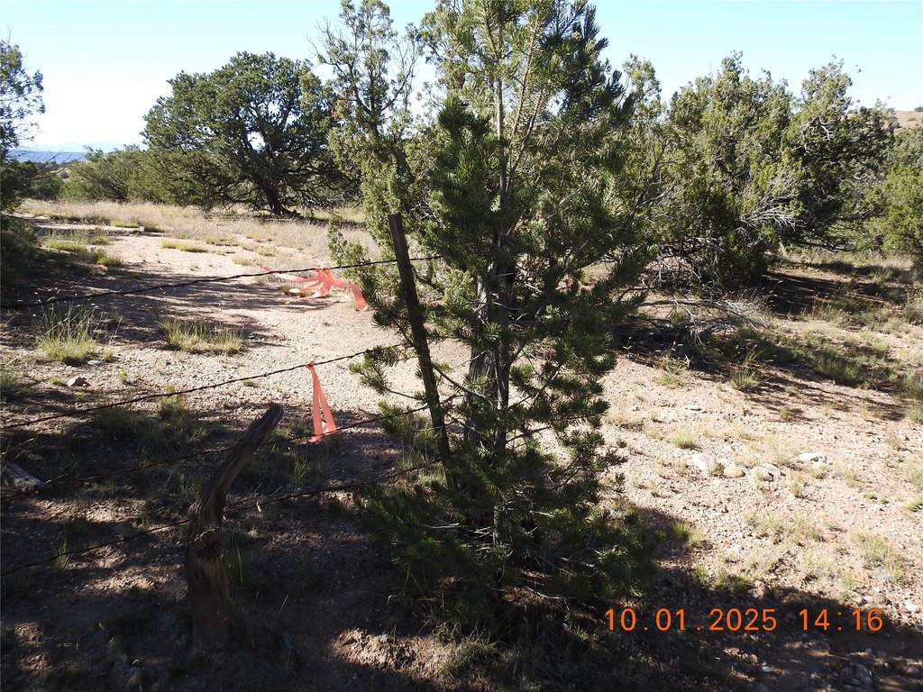 Picture 17