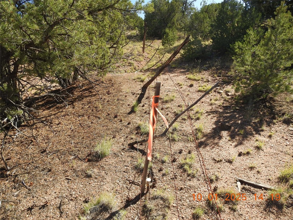 Picture 18