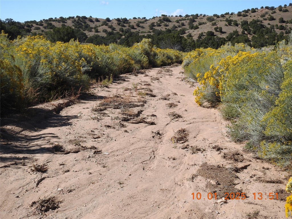 Picture 26