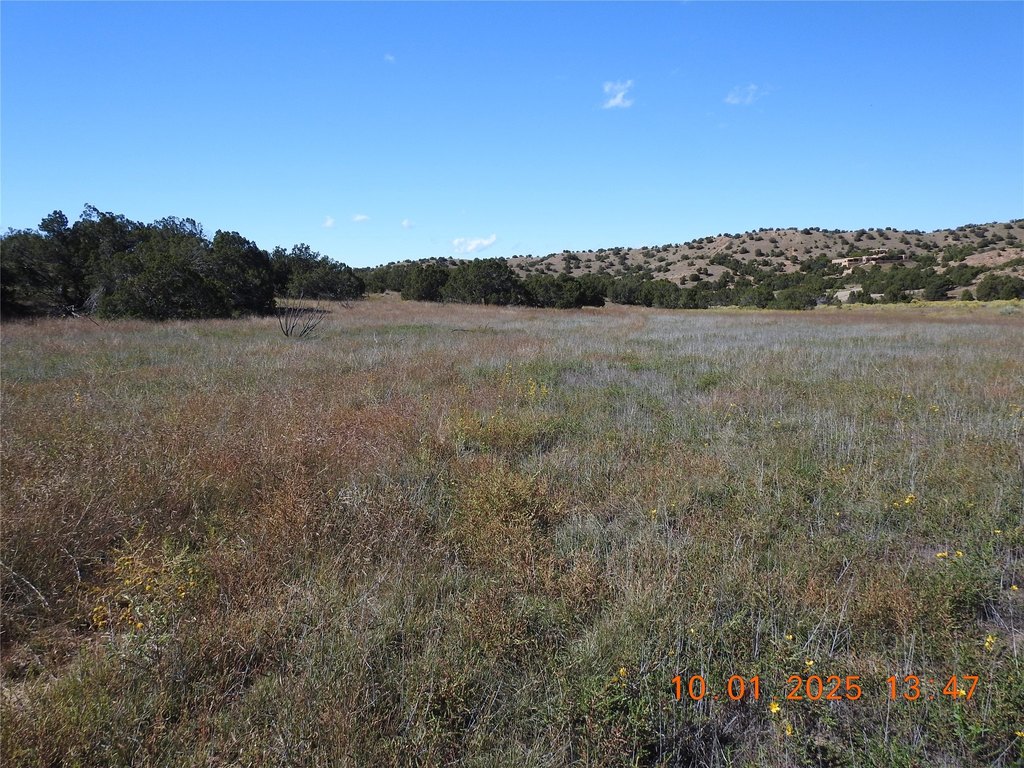 Picture 7