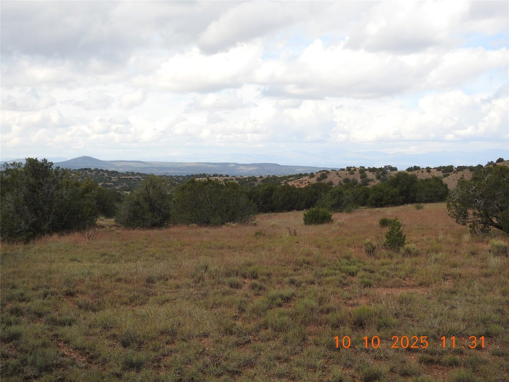 Picture 33