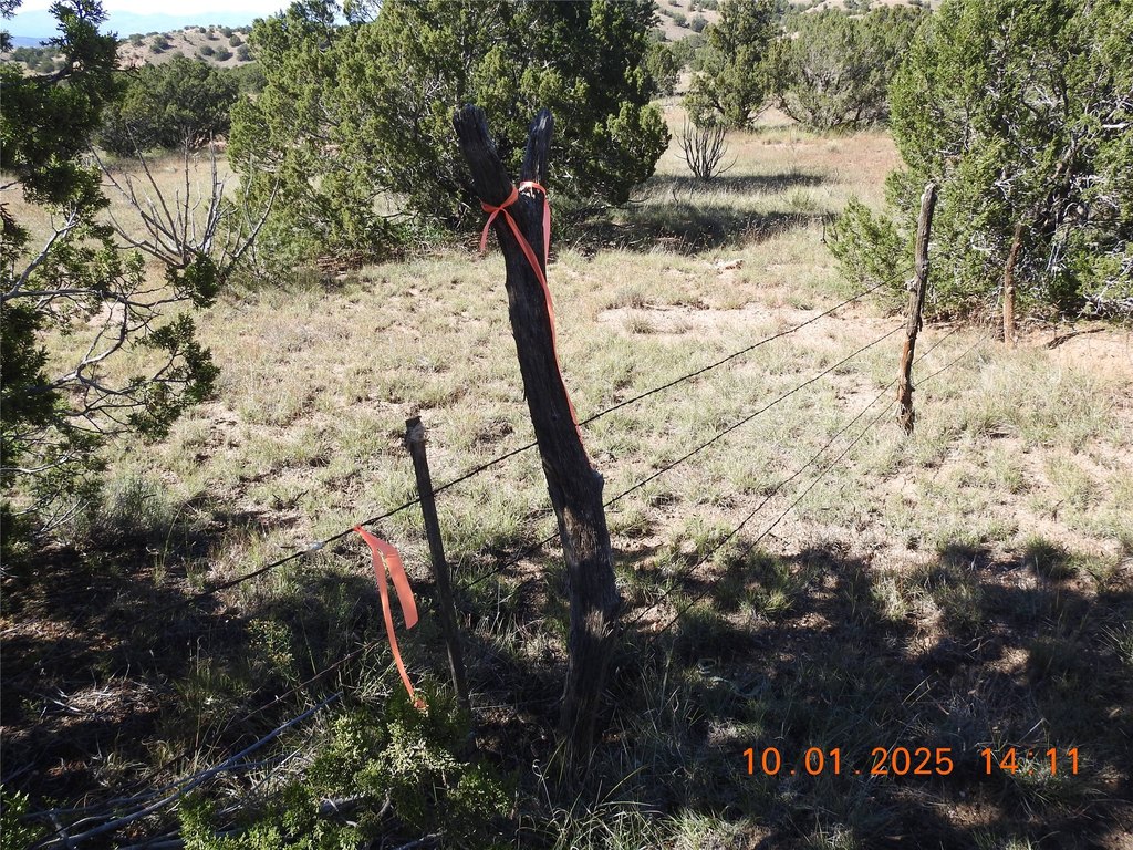 Picture 14