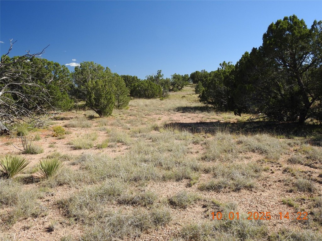 Picture 19
