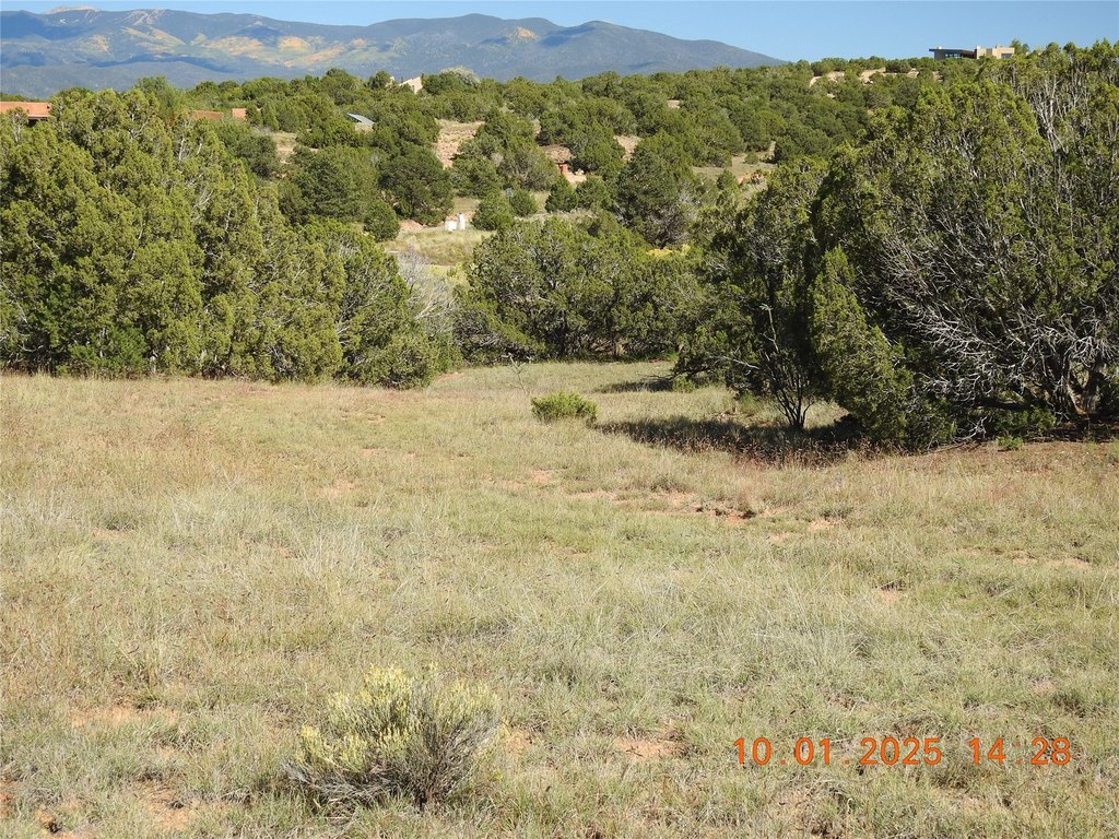 Picture 21