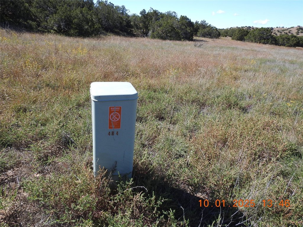 Picture 3