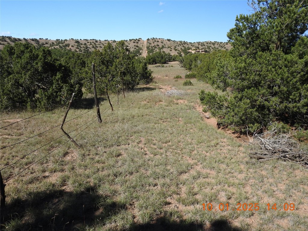Picture 13