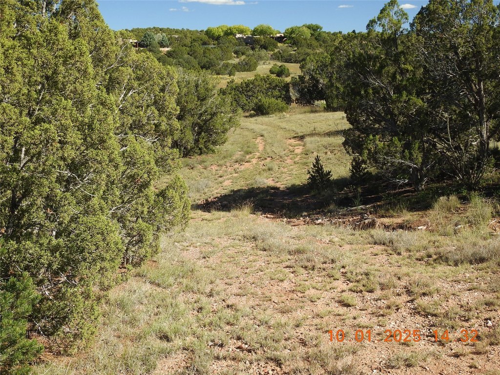 Picture 22