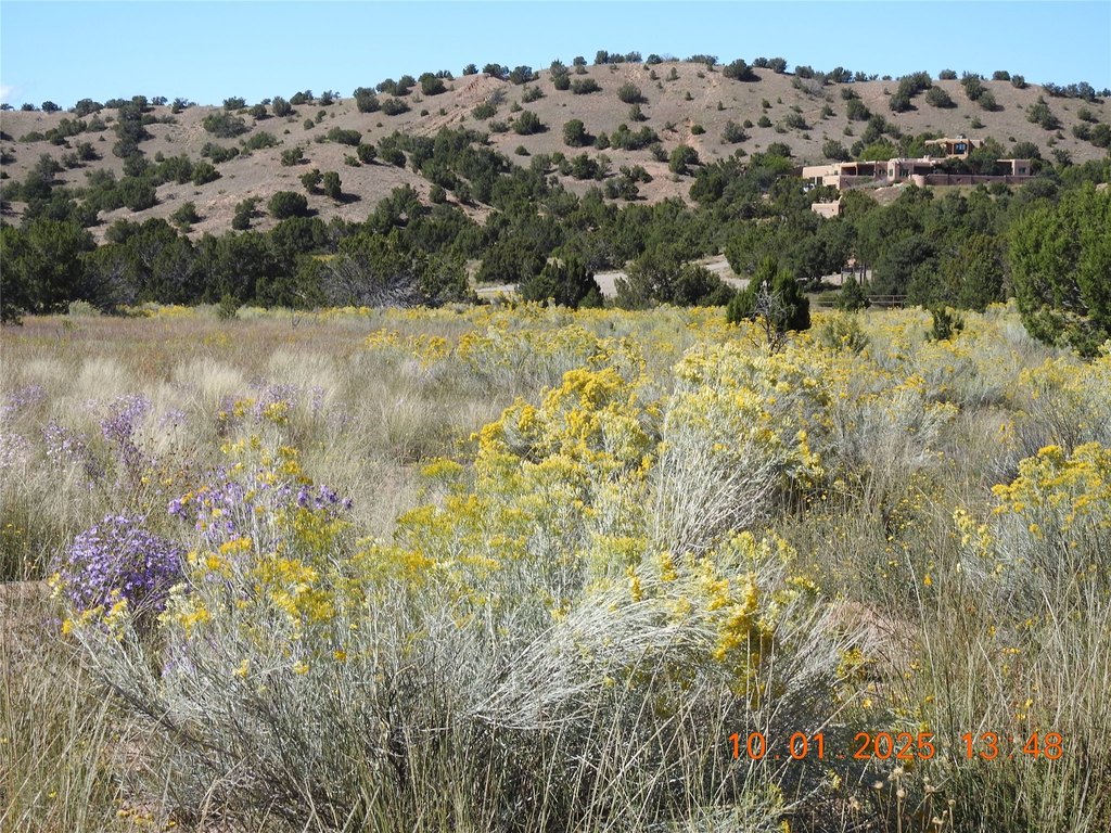 Picture 8