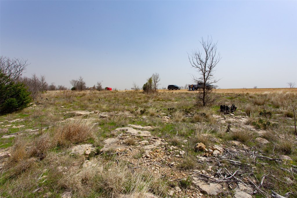 Picture 15