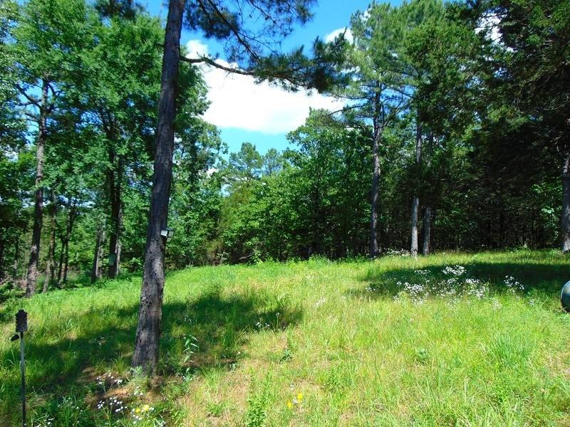 Picture 8