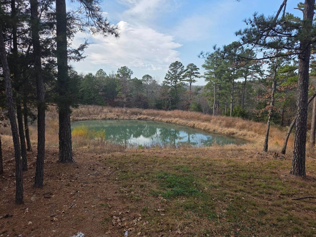 Picture 31