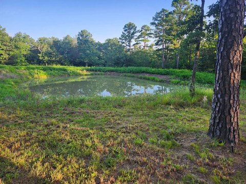 Wooded Hunting Land with Cabin