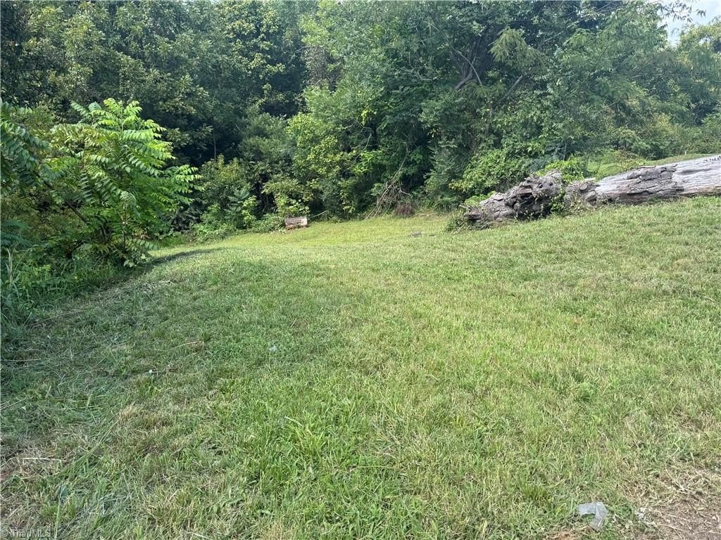 Picture 4