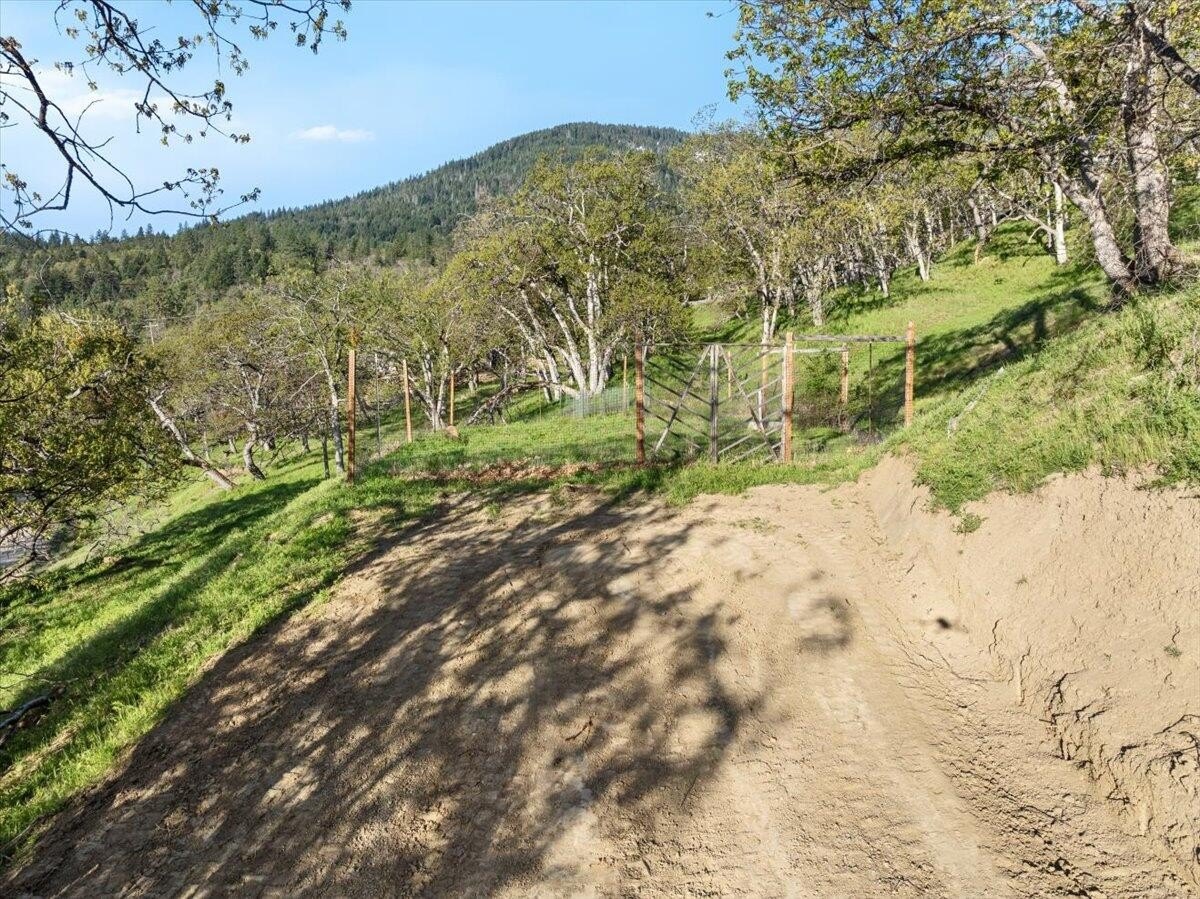 Ashland Buildable Lots with Views