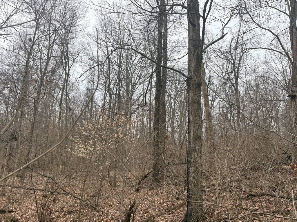 Picture 21