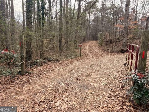LAND - Bremen, GA