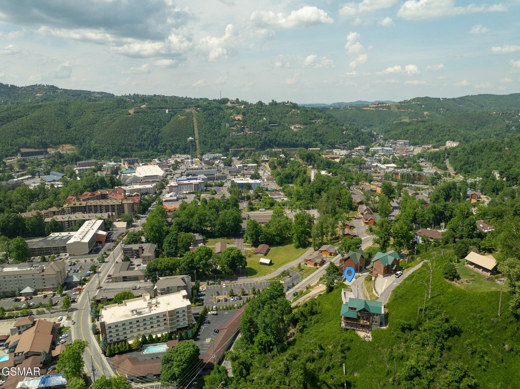 Picture 7