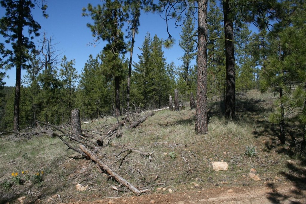 Picture 4
