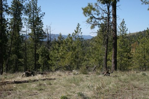 Land, FRUITLAND, WA