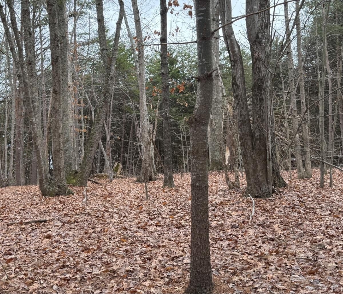 Residential Land in Concord, VA