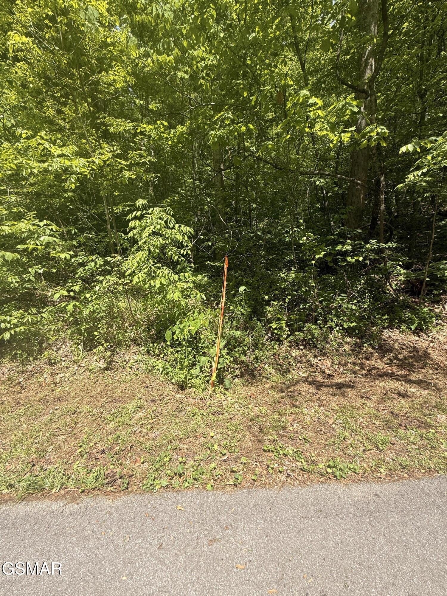 Sevierville Land with Mountain Views