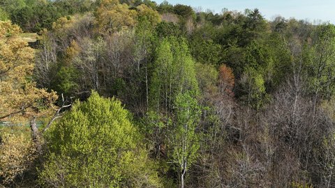 16.5 Acres Wooded Land, Athens